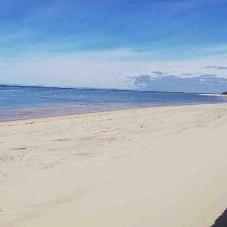 Appart Sur La Plage Pied Dans L Eau Avec Terrasse Jardin Vue Sur Le Bassin Depuis La Terrasse , Parking Arcachon Ngoại thất bức ảnh