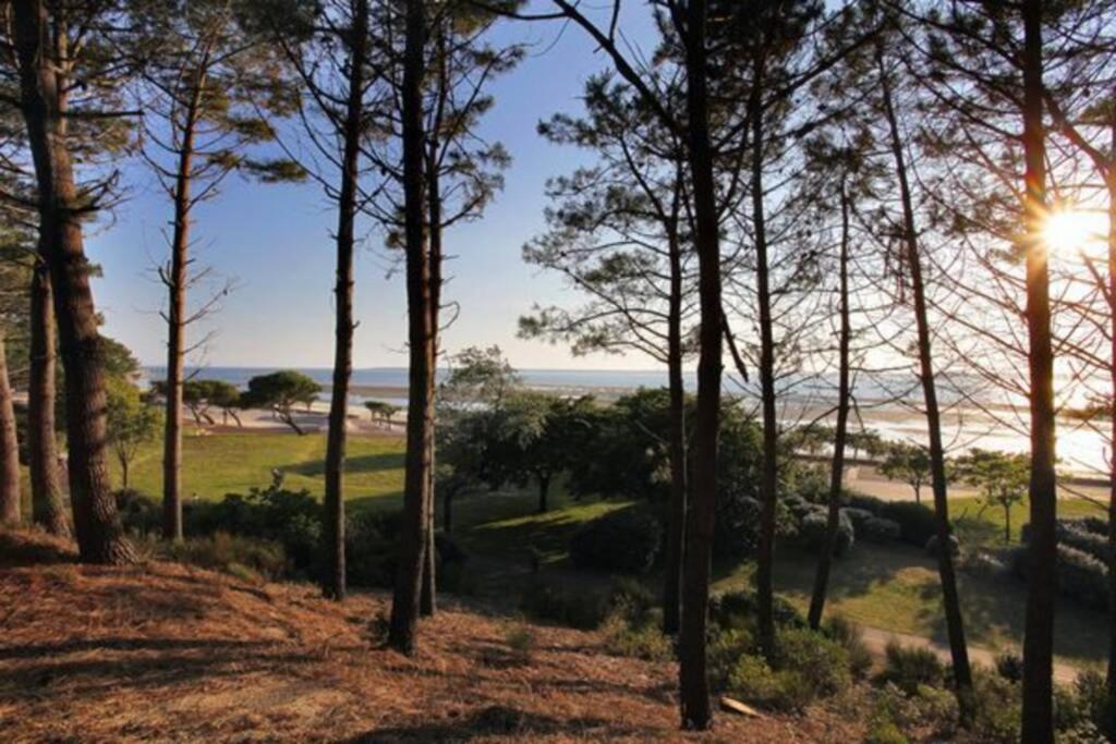 Appart Sur La Plage Pied Dans L Eau Avec Terrasse Jardin Vue Sur Le Bassin Depuis La Terrasse , Parking Arcachon Ngoại thất bức ảnh