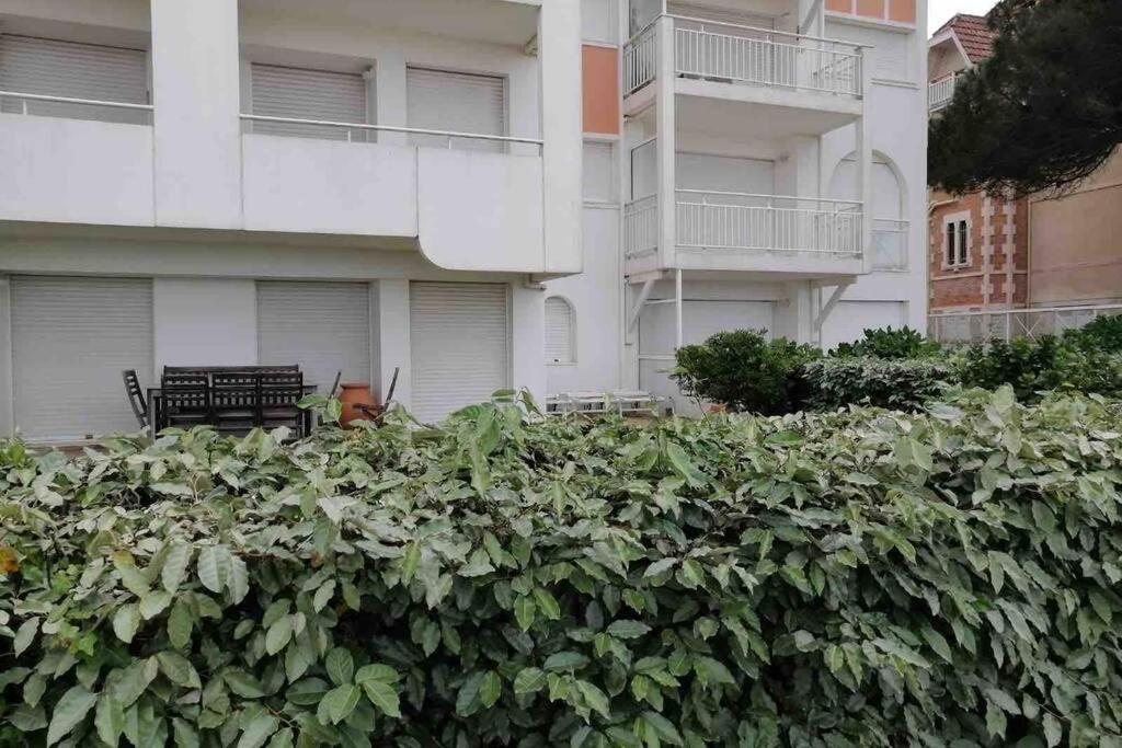 Appart Sur La Plage Pied Dans L Eau Avec Terrasse Jardin Vue Sur Le Bassin Depuis La Terrasse , Parking Arcachon Ngoại thất bức ảnh